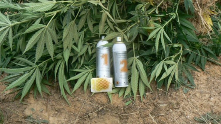 Снимка: МВР