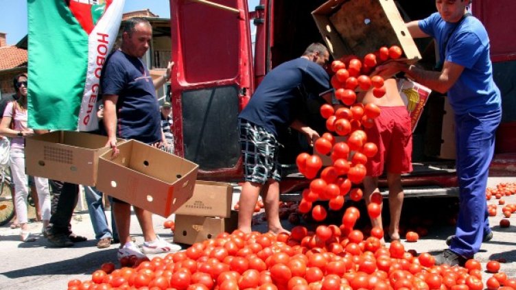 Това лято родни производители изсипваха домати в знак на недоволство от ниските изкупни цени. Снимка: архив, Булфото