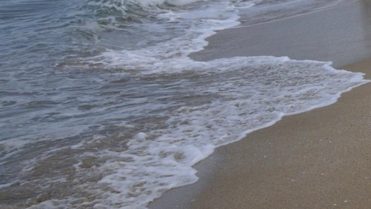 Снимка: Булфото, архив