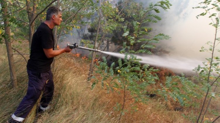 Пожарникарите се борят с огнената стихия. Снимка: Impact Press Group