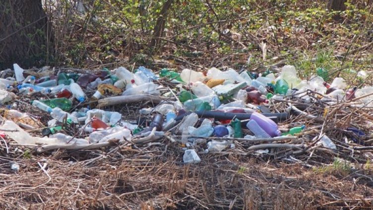 Снимка БГНЕС