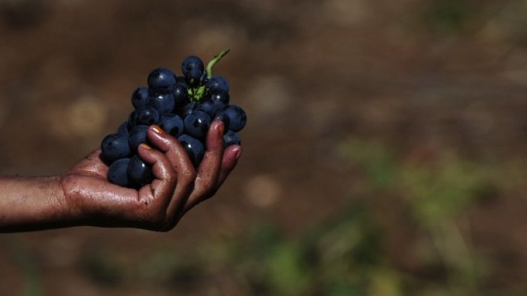 Снимка: архив, Reuters