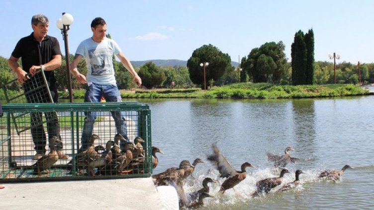 Снимка: Община Стара Загора
Снимка: Община Стара Загора
Снимка: Община Стара Загора