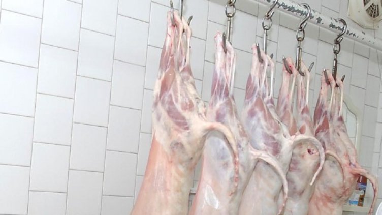 Снимка: Булфото, архив