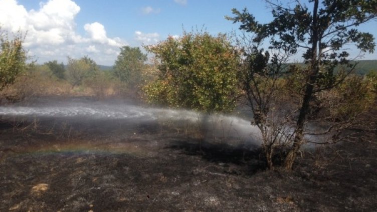 Снимка: Димитър Канариев