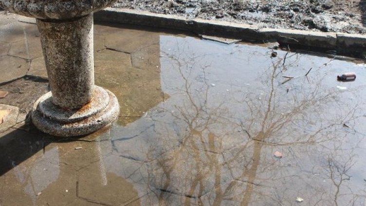 Снимка: архив, Булфото