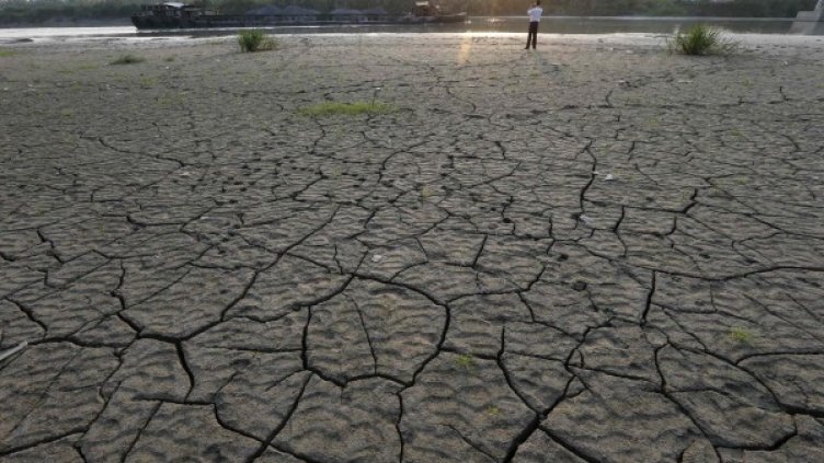 Липсата на дъжд създава затруднения в Япония. Снимка: Reuters