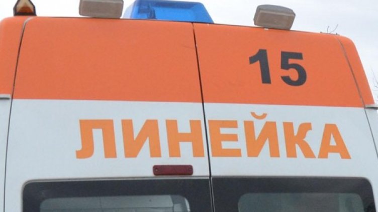 Снимка: Булфото, архив