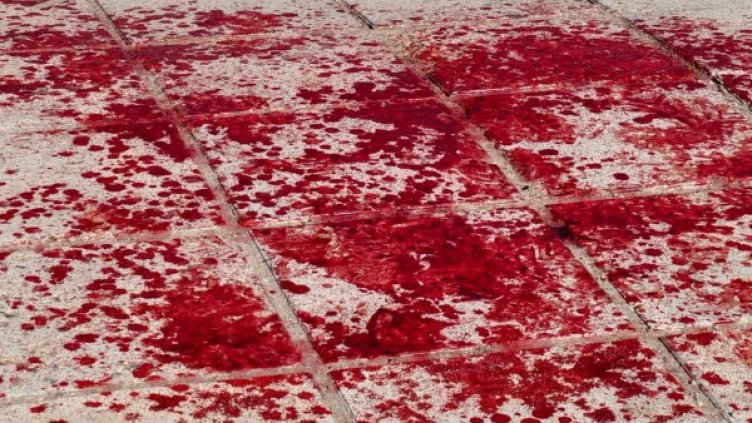 Снимка: Булфото, архив