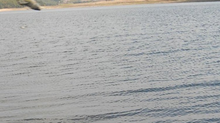 Снимка: архив, Булфото