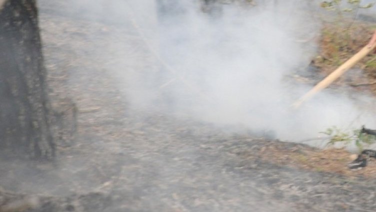 Снимка: архив Булфото