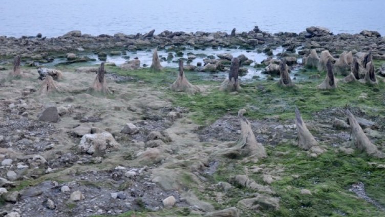 Дунав се отдръпва и вече може да бъде прецапан. Снимка: БТА