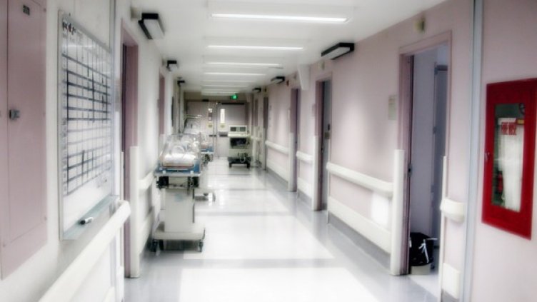 Снимка: Creative Commons