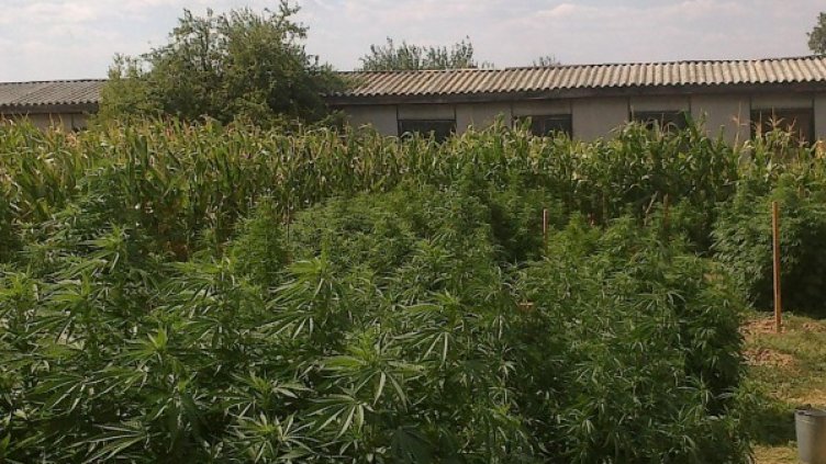 Снимка: архив, Булфото