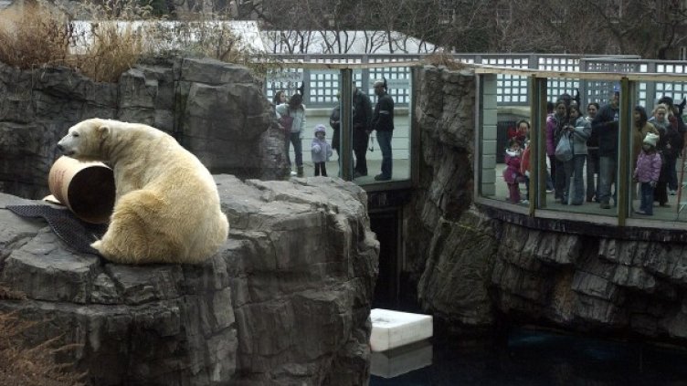 На Гюс са се радвали над 20 милиона посетители. Снимка: архив, Reuters