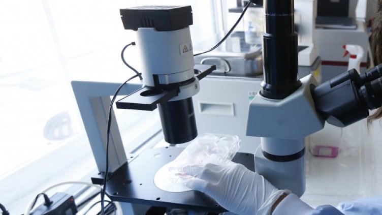 Снимка: архив, Reuters