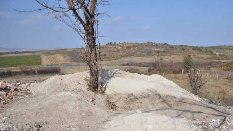 Снимка: архив, Булфото