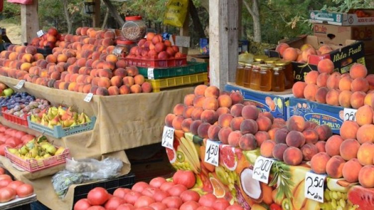 Снимка: архив, Булфото