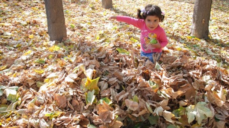 Чака ни слънчева есен. Снимка: Булфото
