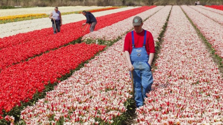 Снимка: архив, Reuters