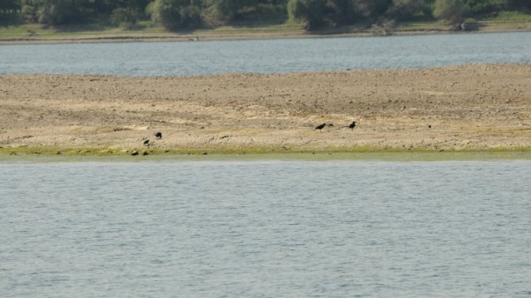 Снимка: БТА, архив