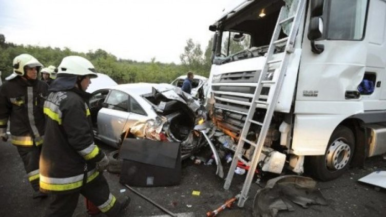 Снимка: мРепортер