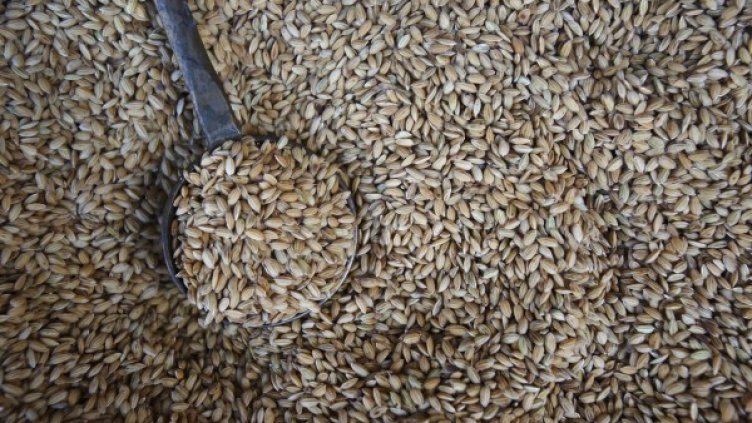 Снимка: архив, Reuters