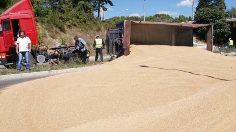 Снимка: Булфото