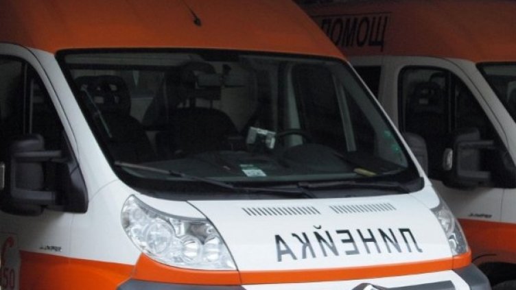 Снимка: архив, Булфото