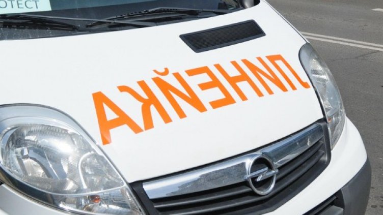 Снимка: Булфото, архив