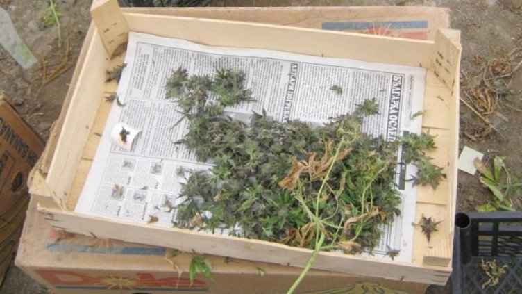 Снимка: архив, Булфото