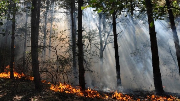 Снимка: БТА, архив