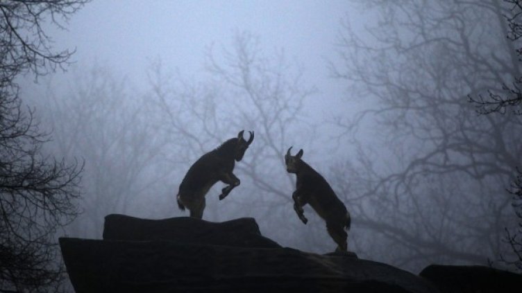 Снимка: архив, Reuters