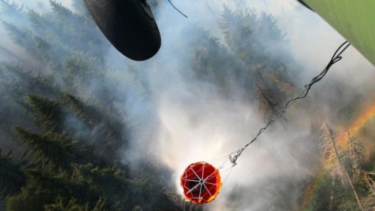 Снимка: архив, Булфото