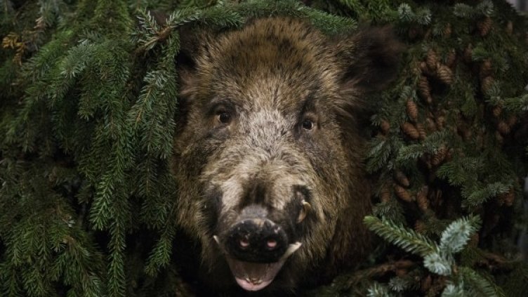 Снимка: Reuters