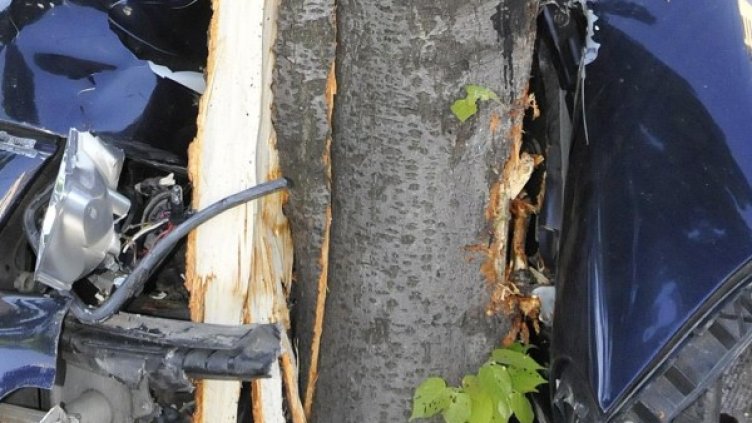 Снимка: архив, Булфото