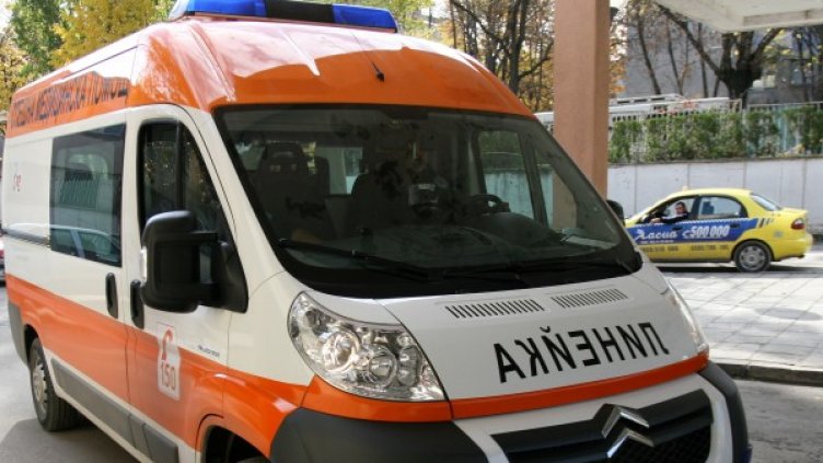 Снимка: Impact Press Group