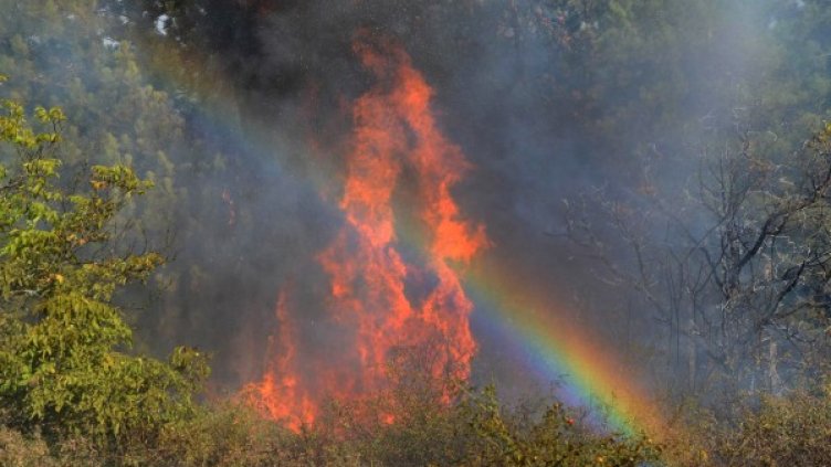 Снимка: Impact Press Group