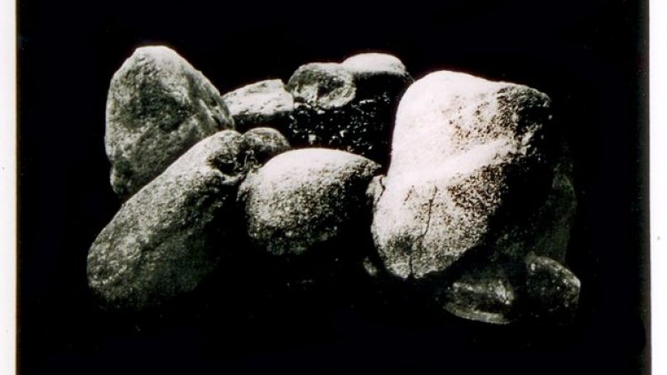 Снимка: Галерия "Сезони"