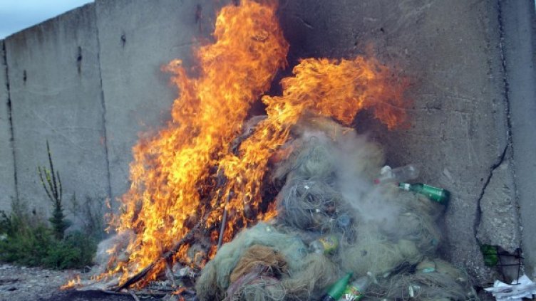 Снимка: Булфото, архив