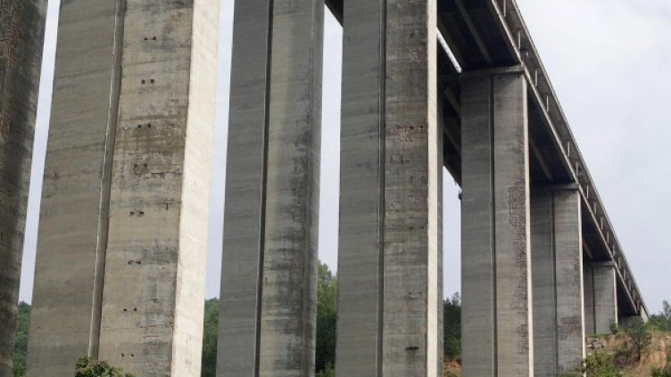 Снимка: Булфото