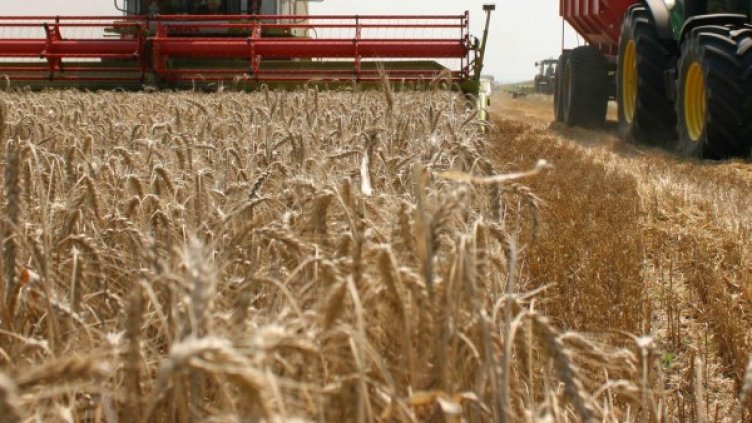 Снимка: архив, Булфото