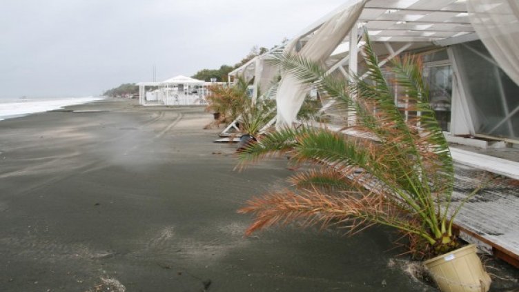 Снимка: архив, Булфото