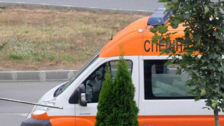 Снимка: архив, Булфото