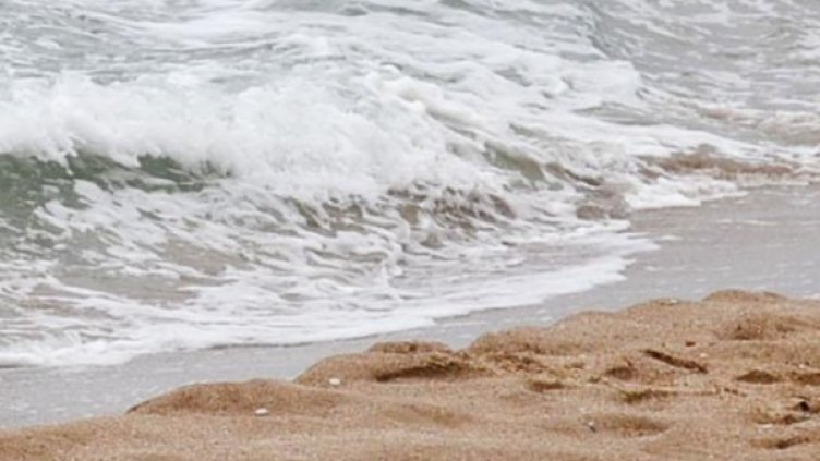 Снимка: архив, Булфото