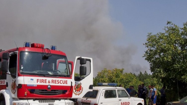 Снимка: Булфото, архив