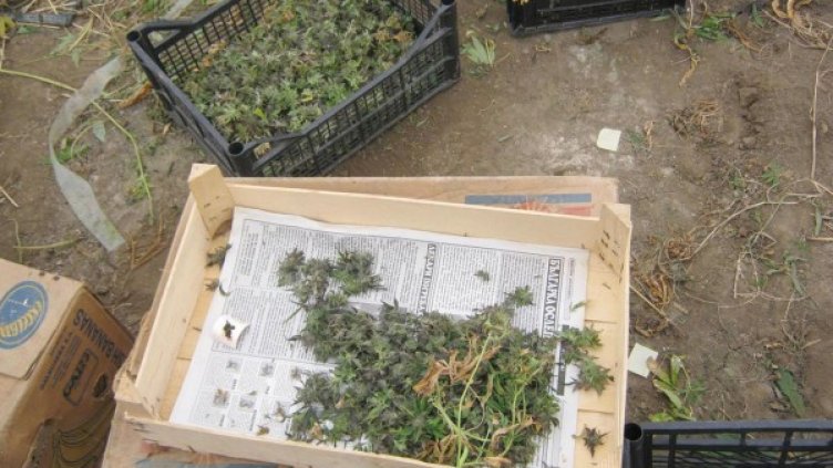 Снимка: архив Булфото