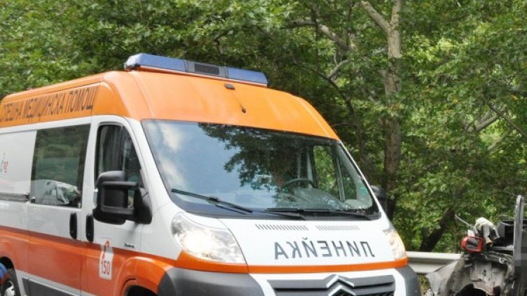 Снимка: Булфото, архив