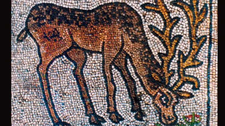 Снимка: Нощ на музеите и галериите