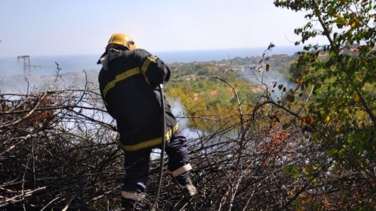 Снимка: Булфото, архив
